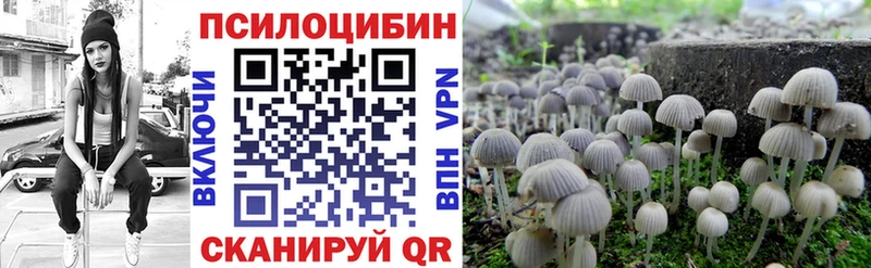 магазин продажи наркотиков  Шумерля  Галлюциногенные грибы мухоморы 